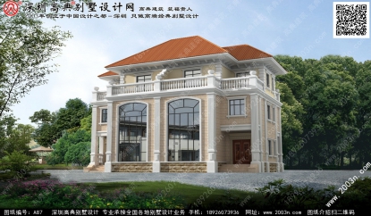 新农村住宅设计图首层216平方米图纸编号a87